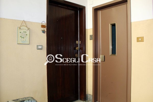 appartamento in affitto a Roma in zona Appio Latino