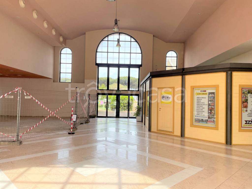 appartamento in affitto a Roma in zona Ostia