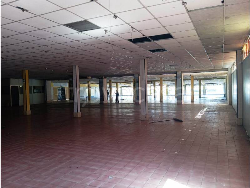 negozio in affitto a Roma in zona Appio Claudio