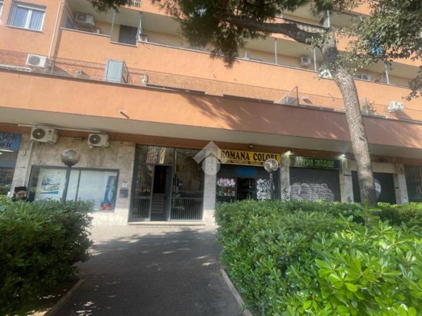monolocale in affitto a Roma in zona Monte Sacro/Talenti