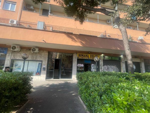 monolocale in affitto a Roma in zona Monte Sacro/Talenti