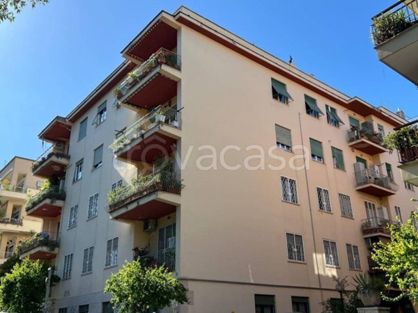 appartamento in affitto a Roma in zona Trieste