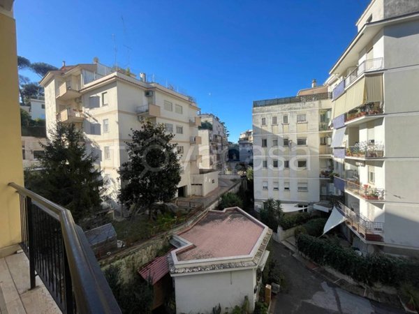 appartamento in affitto a Roma in zona Parioli
