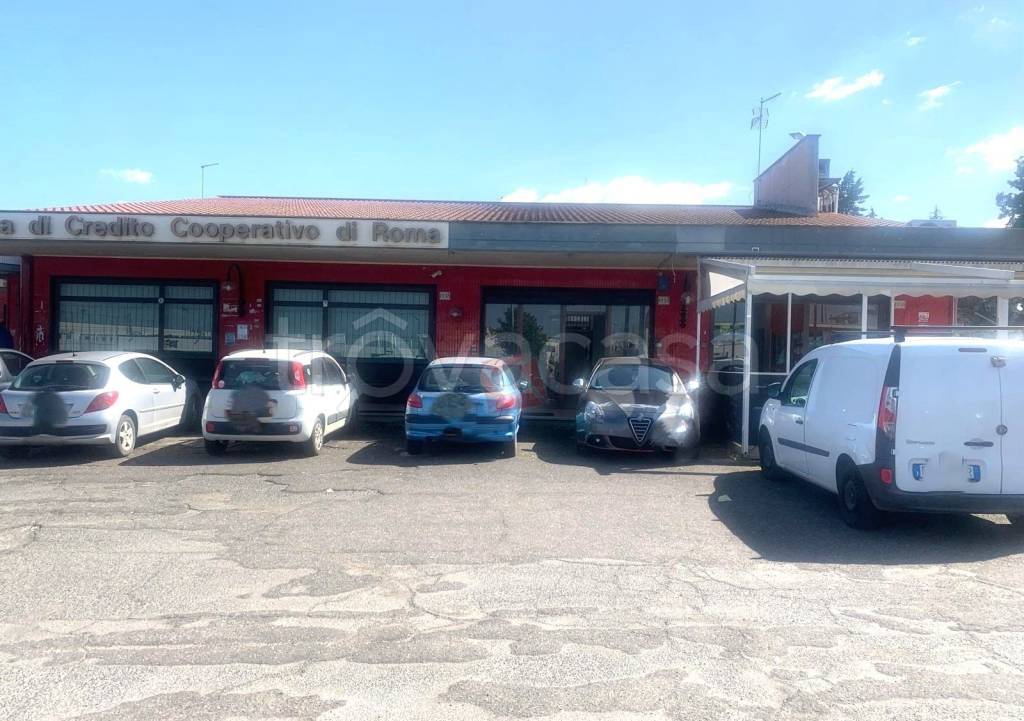 trivano in affitto a Roma in zona Finocchio