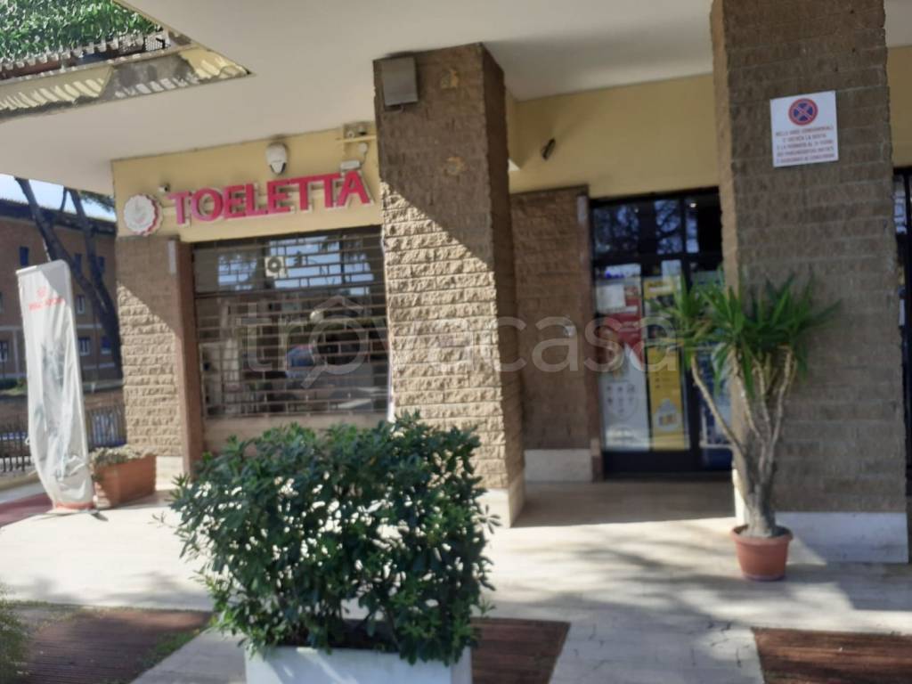 negozio in affitto a Roma in zona La Giustiniana