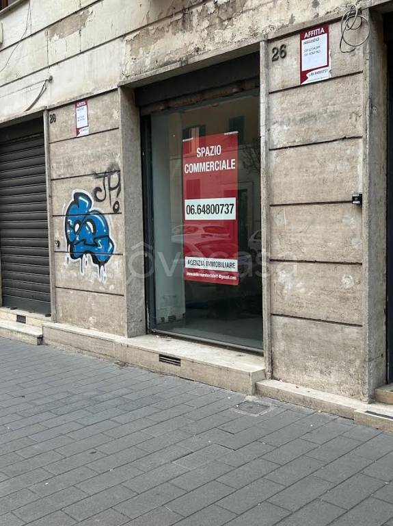 appartamento in affitto a Roma