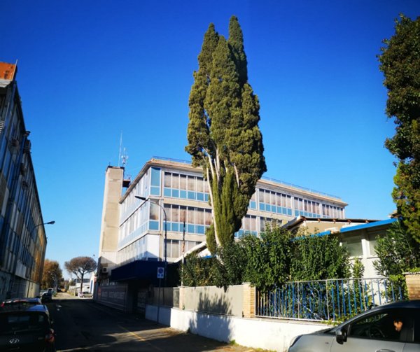 negozio in affitto a Roma in zona Salario