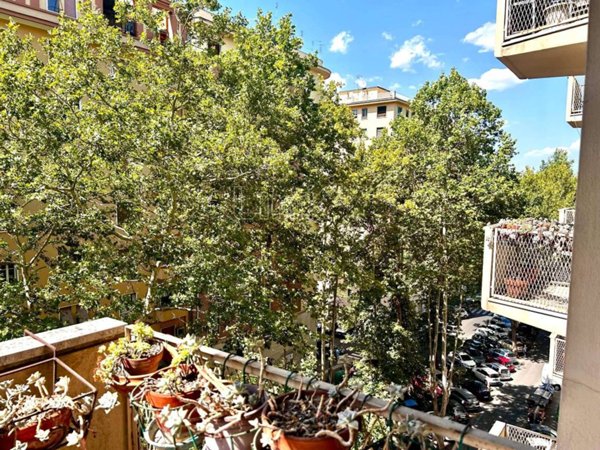 appartamento in affitto a Roma in zona Flaminio