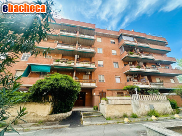 appartamento in affitto a Roma in zona Lido di Castel Fusano
