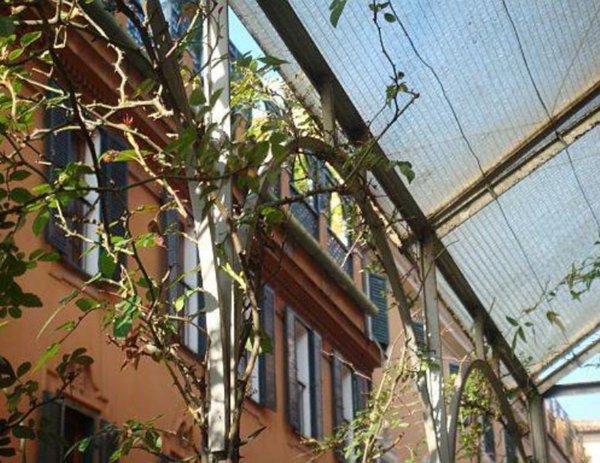 appartamento in affitto a Roma in zona Campo Marzio