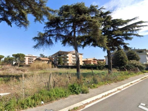 terreno edificabile in affitto a Roma in zona Tor Vergata/Torrenova