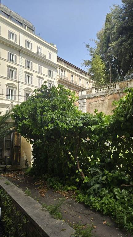 ufficio in affitto a Roma in zona Campo Marzio