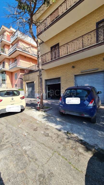 monolocale in affitto a Roma in zona Tor Bella Monaca