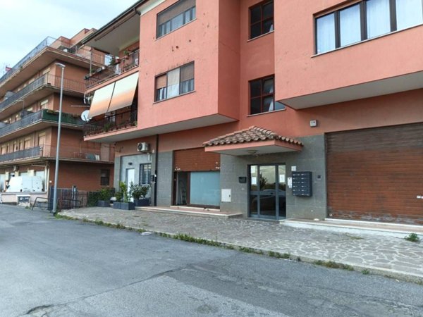 locale commerciale in affitto a Roma in zona Tor Vergata/Torrenova