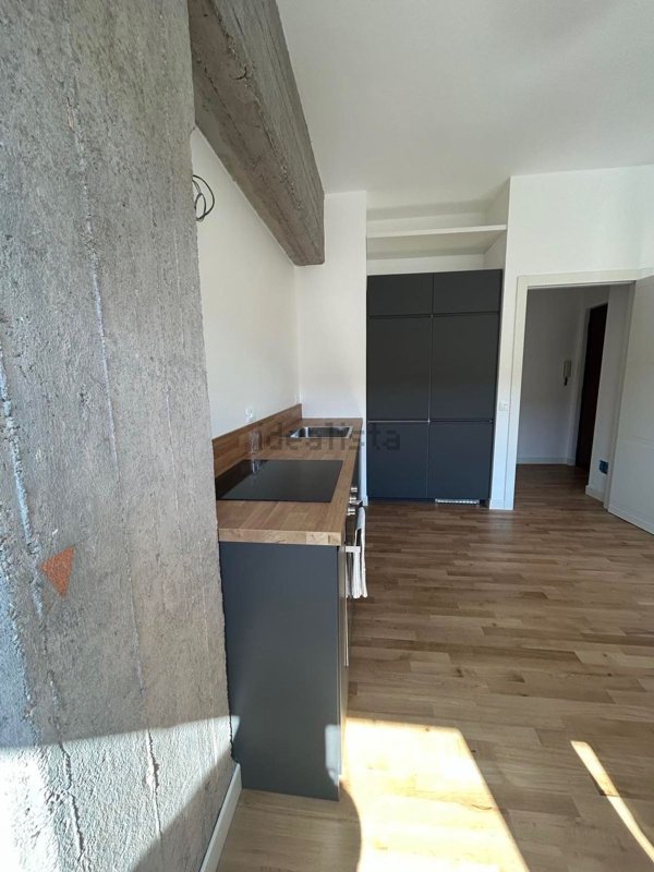 appartamento in affitto a Roma in zona Parioli