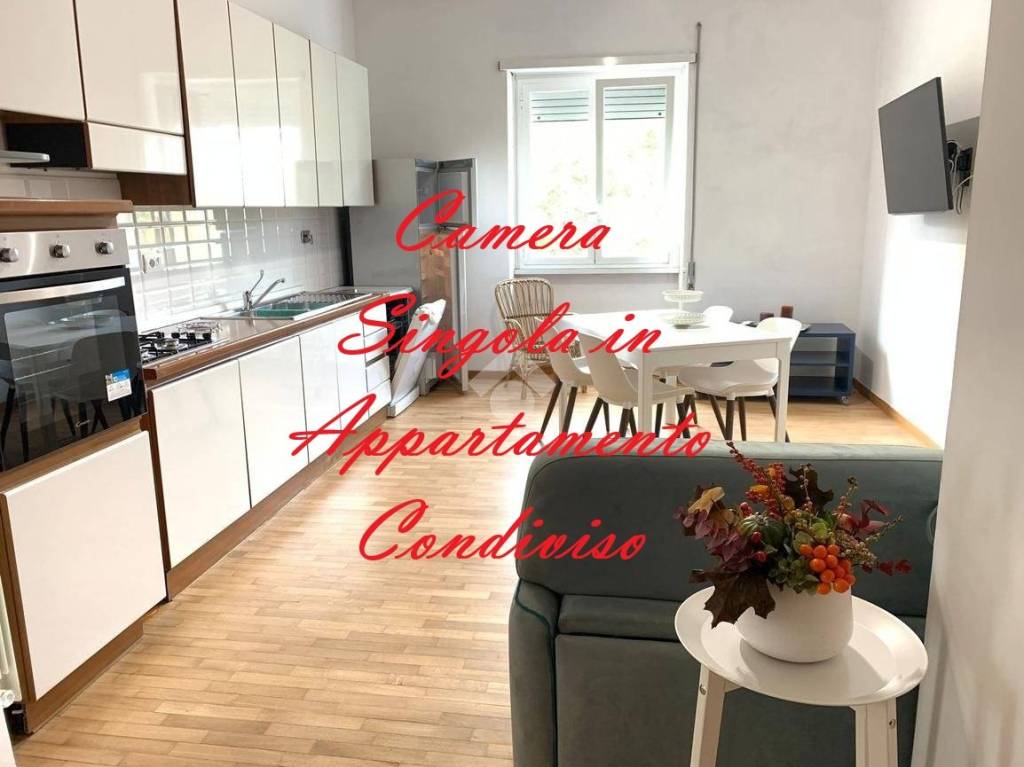 appartamento in affitto a Roma in zona Monte Sacro/Talenti