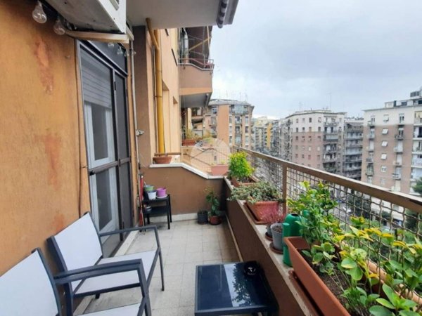 appartamento in affitto a Roma in zona Trieste