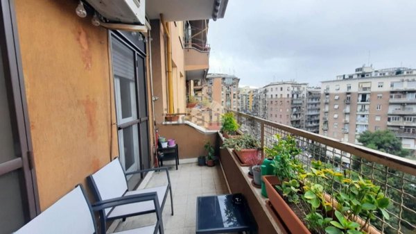 appartamento in affitto a Roma in zona Trieste