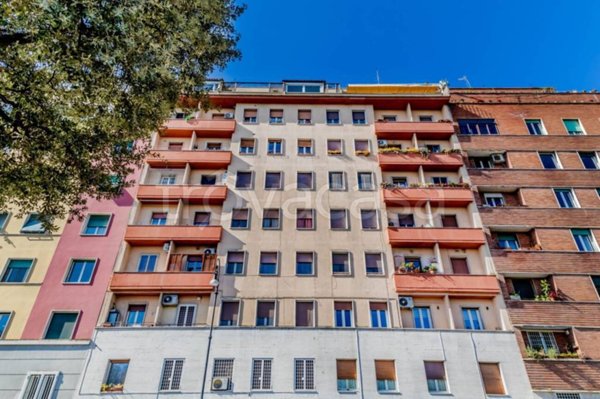 appartamento in affitto a Roma in zona Flaminio