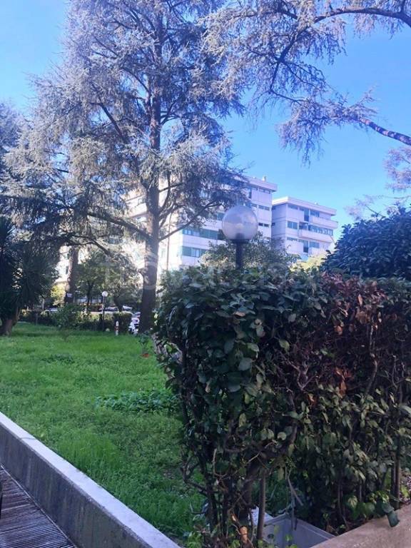 appartamento in affitto a Roma in zona Salario