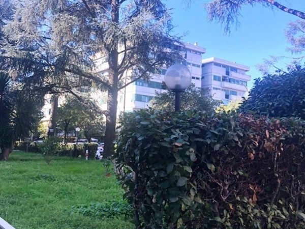 appartamento in affitto a Roma in zona Monte Sacro/Talenti