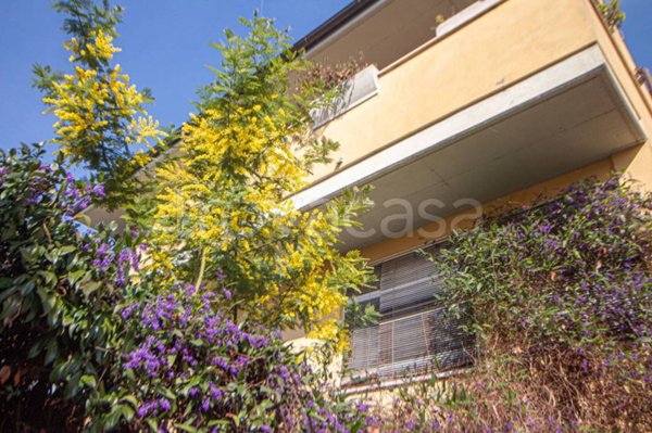appartamento in affitto a Roma in zona Trionfale