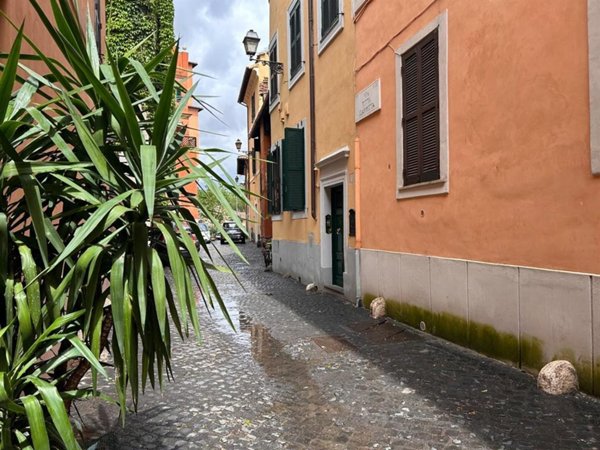 appartamento in affitto a Roma in zona Trastevere
