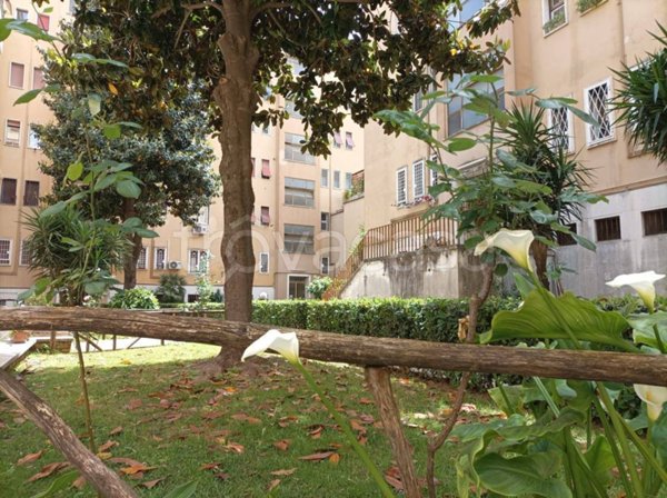 appartamento in affitto a Roma in zona Ostiense