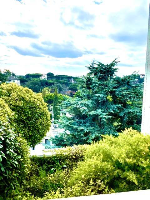 appartamento in affitto a Roma in zona Della Vittoria
