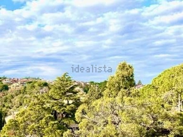 appartamento in affitto a Roma in zona Della Vittoria