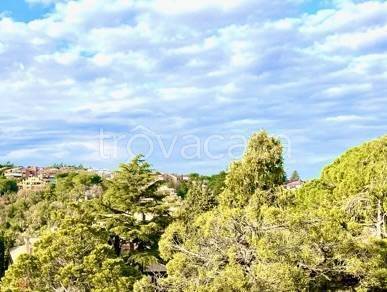 appartamento in affitto a Roma in zona Della Vittoria