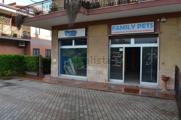 locale commerciale in affitto a Roma in zona Castel di Leva