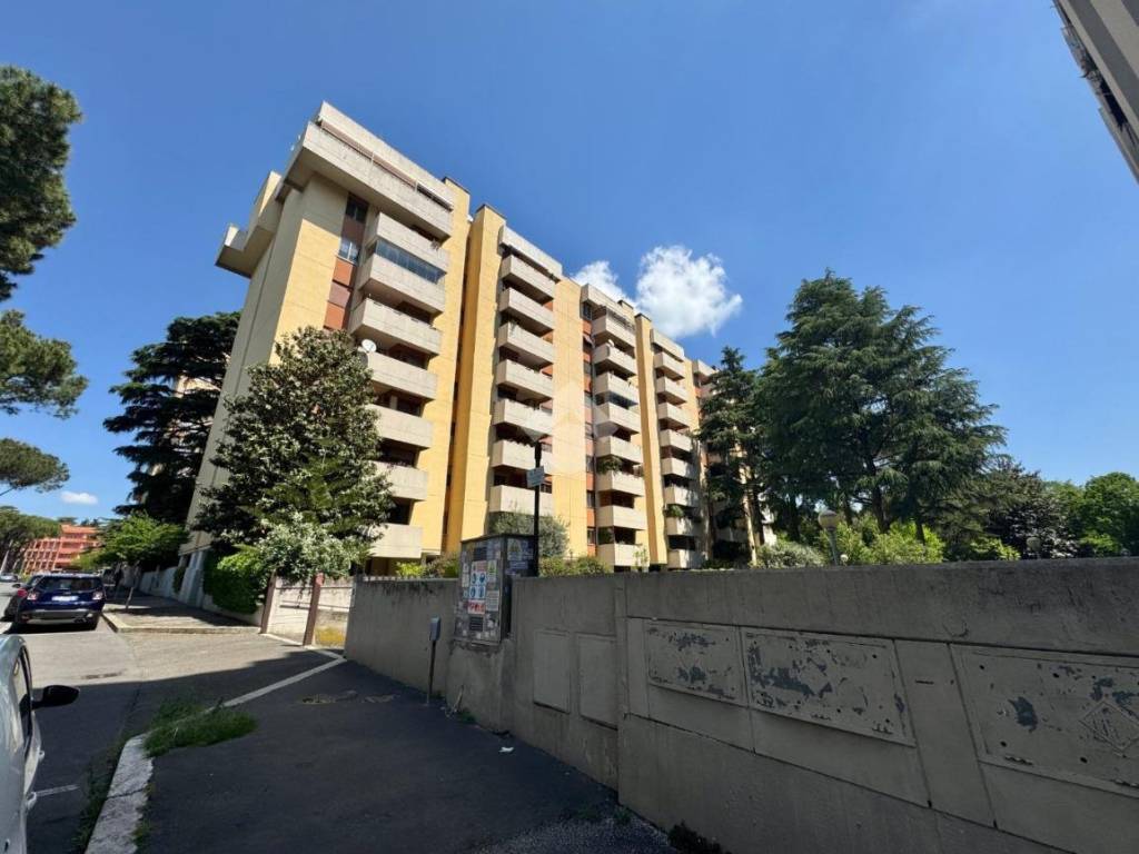 appartamento in affitto a Roma in zona EUR