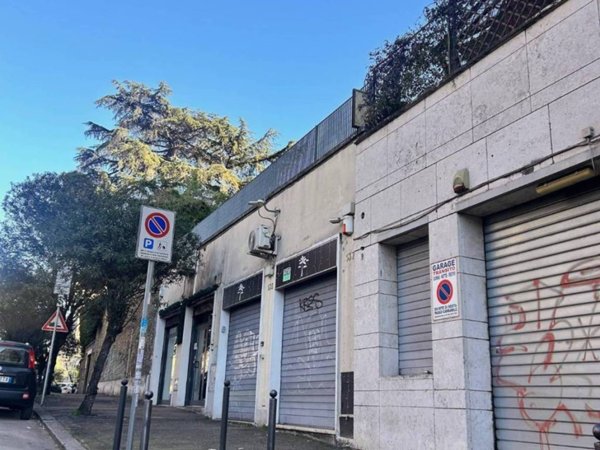 negozio in affitto a Roma in zona Trieste