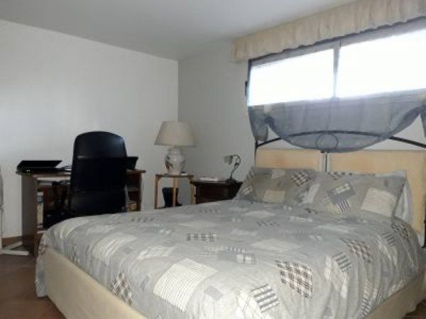appartamento in affitto a Roma in zona EUR