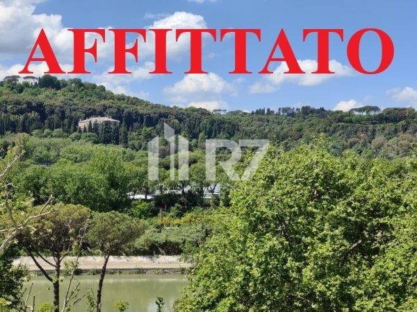 appartamento in affitto a Roma in zona Trionfale