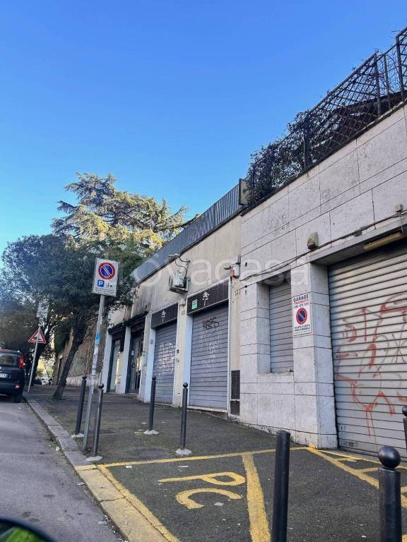 appartamento in affitto a Roma in zona Trieste