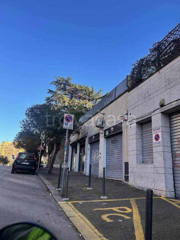 appartamento in affitto a Roma in zona Trieste