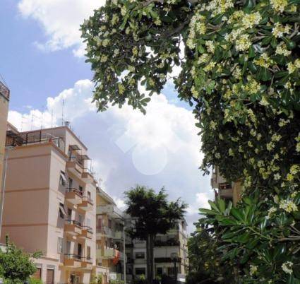 appartamento in affitto a Roma in zona Trionfale