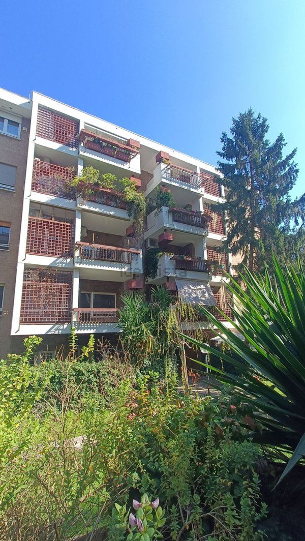 appartamento in affitto a Roma in zona Salario