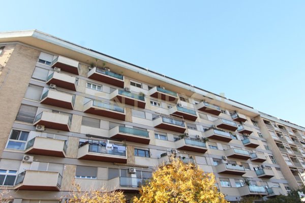 capannone in affitto a Roma in zona Portuense