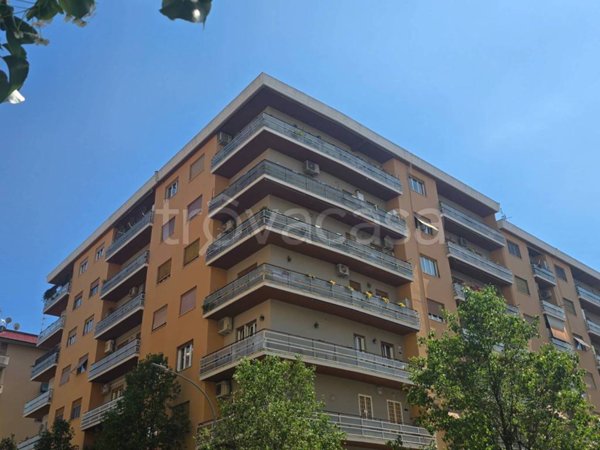 appartamento in affitto a Roma in zona Appio Latino