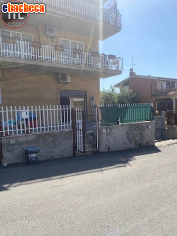 locale commerciale in affitto a Roma in zona Massimina/Casal Lumbroso
