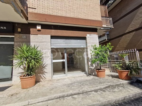 appartamento in affitto a Roma in zona Monte Sacro/Talenti