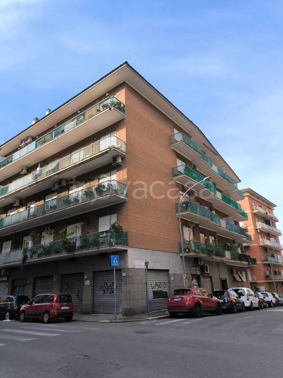 appartamento in affitto a Roma in zona Pietralata