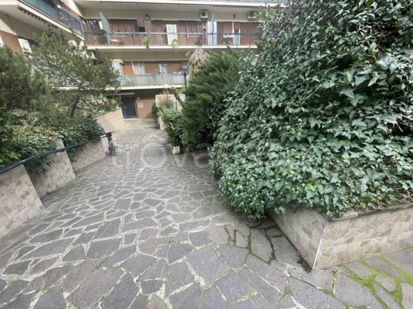 appartamento in affitto a Roma in zona Collatino