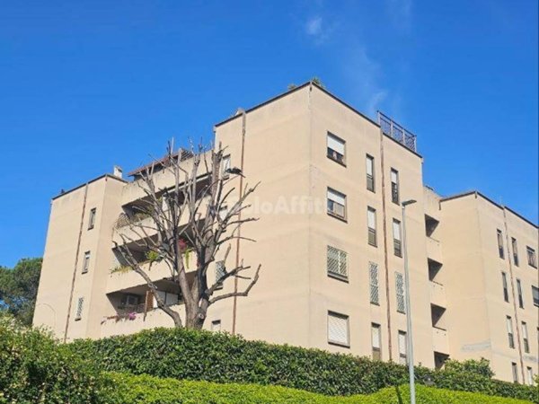 appartamento in affitto a Roma in zona Torrino