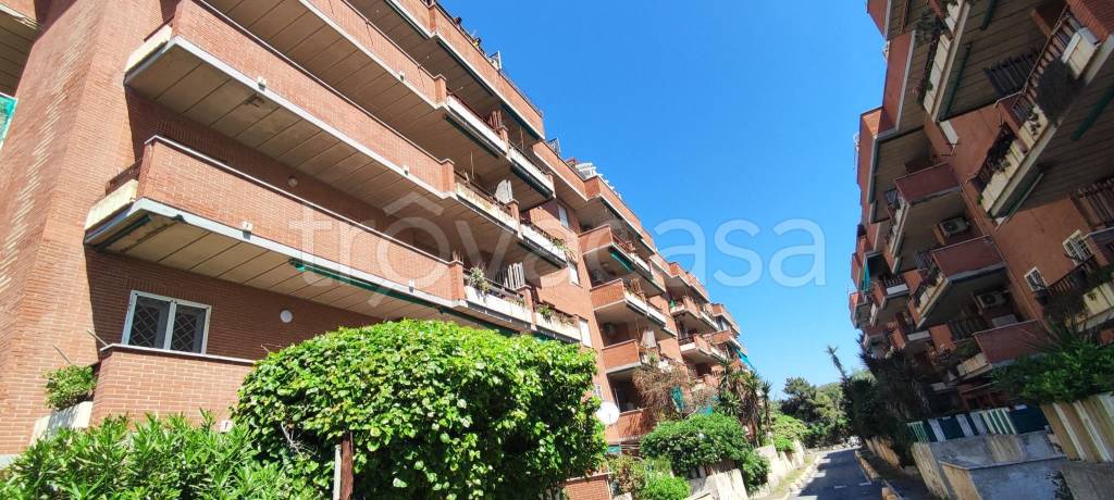 appartamento in affitto a Roma in zona Lido di Castel Fusano