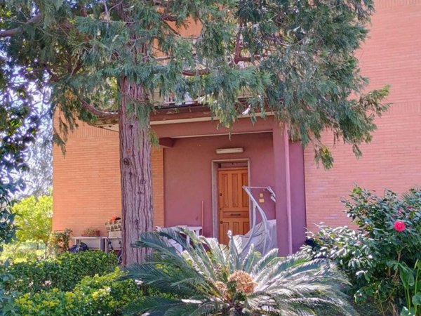 appartamento in affitto a Roma in zona Trionfale