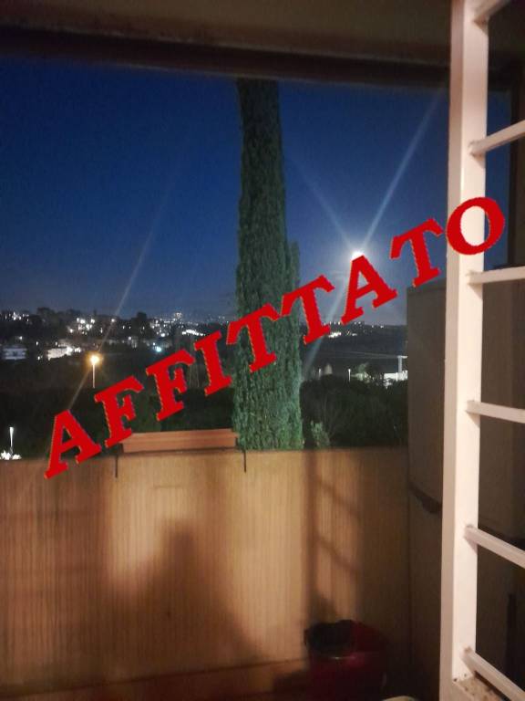 appartamento in affitto a Roma in zona Giuliano Dalmata